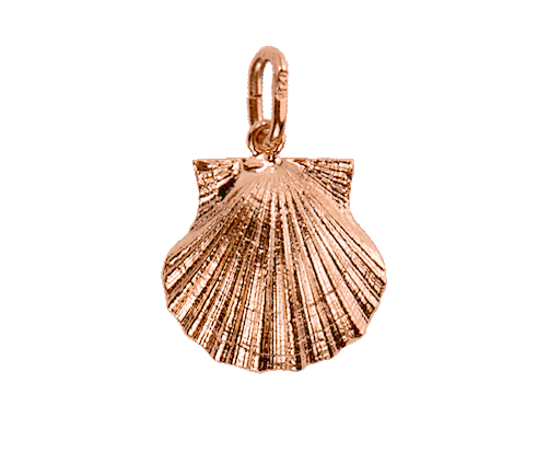 Scallop Small